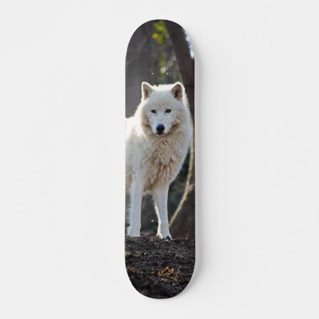 White Wolf Skate In The Forest Skateboard (Front)