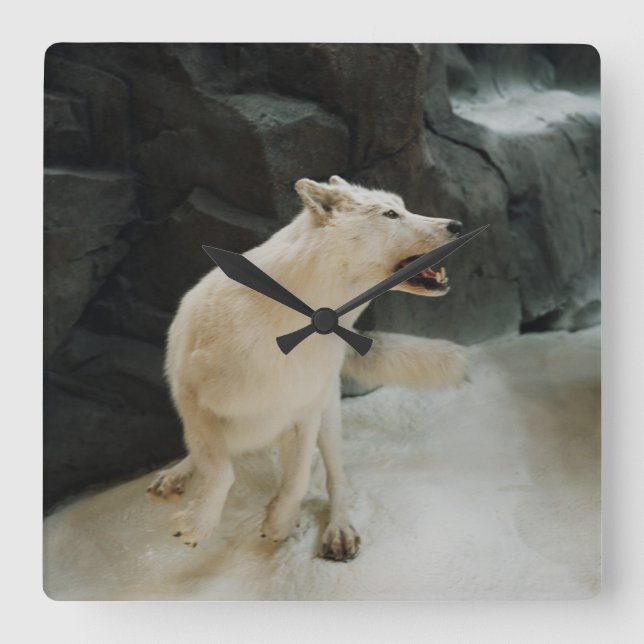 White Wolf Square Wall Clock (Front)