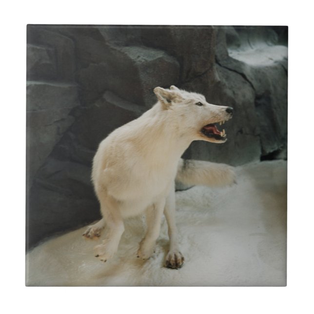 White Wolf Tile (Front)