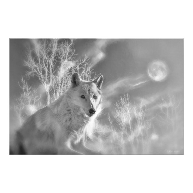 WHITE WOLF WHITE FOREST PHOTO PRINT (Front)