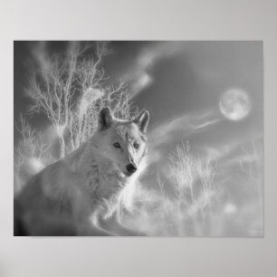 WHITE WOLF WHITE FOREST POSTER