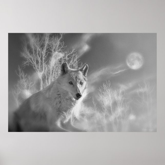 WHITE WOLF WHITE FOREST POSTER (Front)