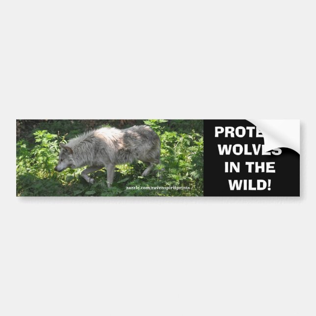 WHITE WOLF Wildlife Conservation Bumper sticker (Front)