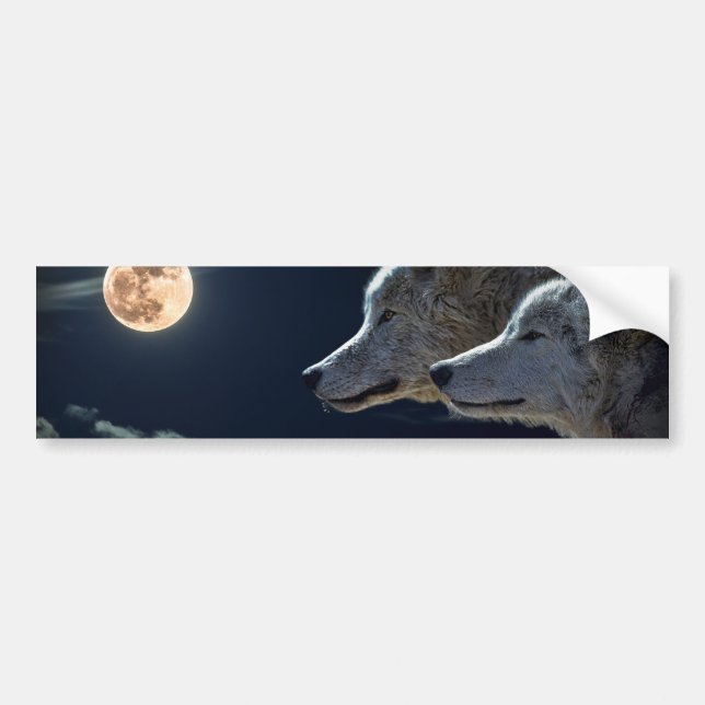 White Wolves in the Full Moon Bumper Sticker (Front)