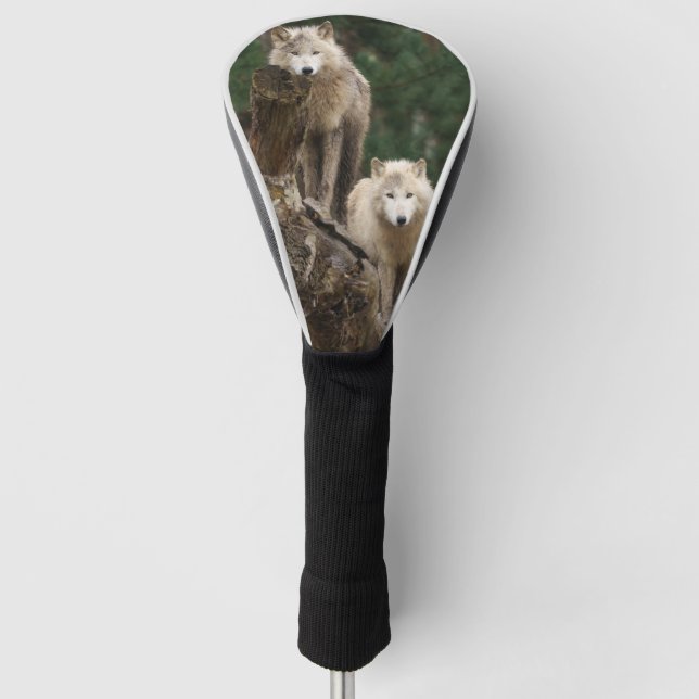White Wolves' Realm Golf Head Cover (Front)