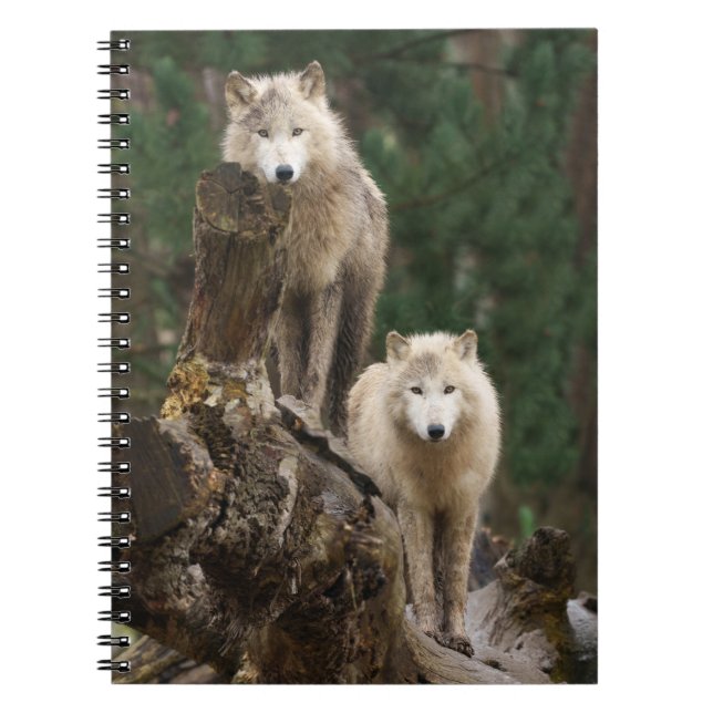 White Wolves' Realm Notebook (Front)