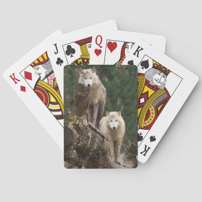 White Wolves' Realm Playing Cards (Back)