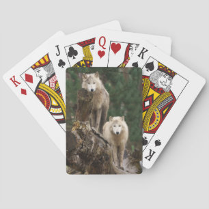White Wolves' Realm Playing Cards