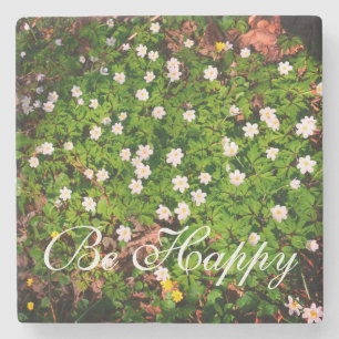 White Wood Anemone Spring Flowers Be Happy Stone Coaster