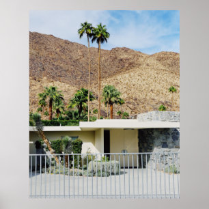 WHITE WOODEN FENCE NEAR GREEN PALM TREE DURING DAY POSTER