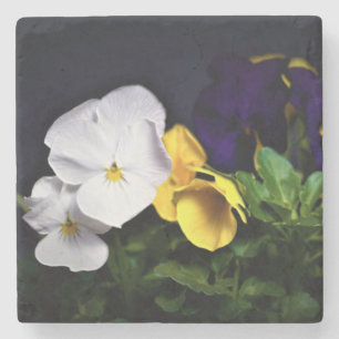White Yellow and Purple Pansies Stone Coaster
