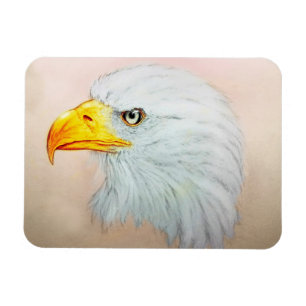 White & Yellow animal art, Photo Magnet - Eagle
