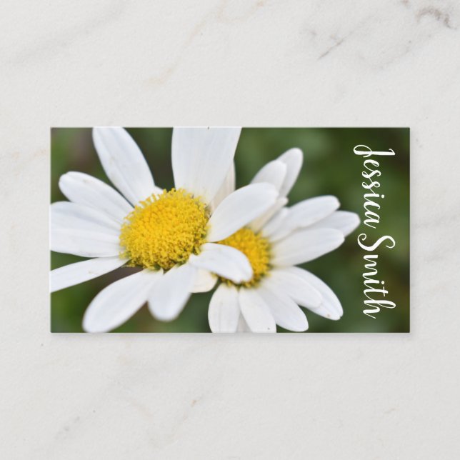 White Yellow Daisy Flower Daisies Nature Photo Business Card (Front)