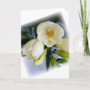 white yellow freesia card
