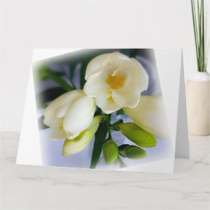 white yellow freesia card