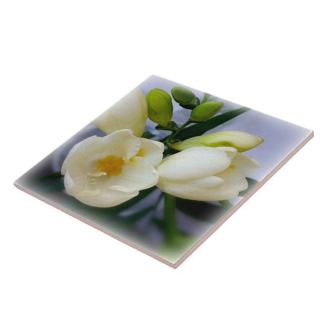 white yellow freesia tile (Side)