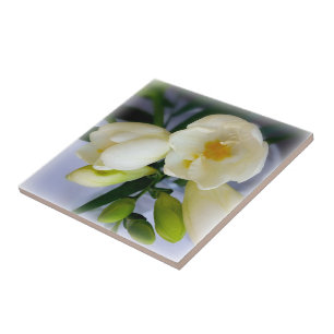 white yellow freesia tile