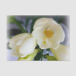 white yellow freesia tissue paper