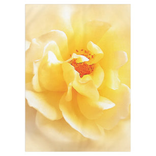 White Yellow Rose Soft Light Colors Tablecloth