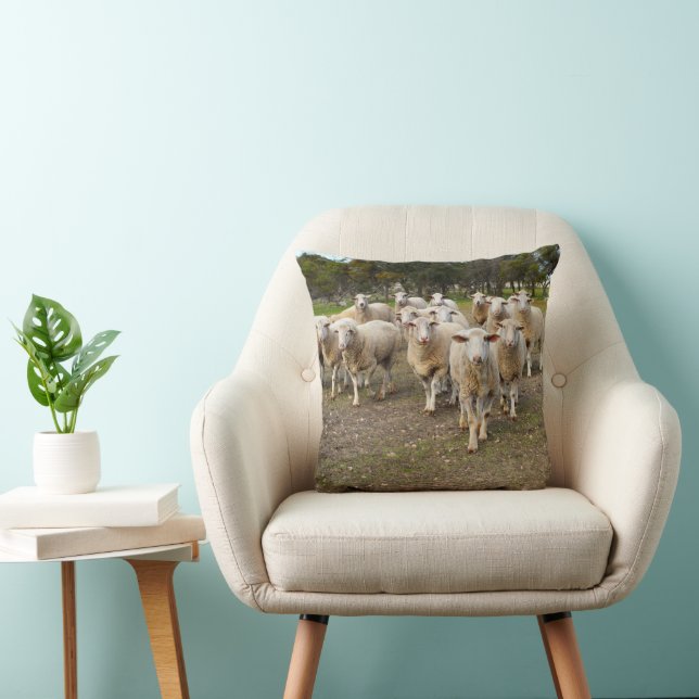 White Young Woolly Sheep, Cushion (Chair)