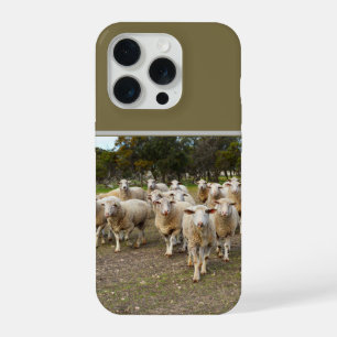 White Young Woolly Sheep, iPhone 15 Pro Case