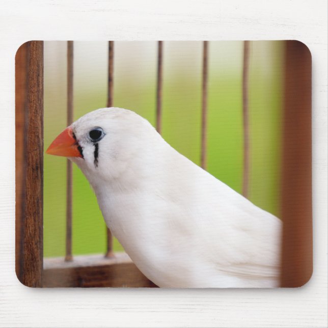 White Zebra Finch Bird in Cage Mouse Pad (Front)