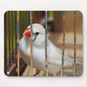 White Zebra Finch Bird in Cage Mouse Pad