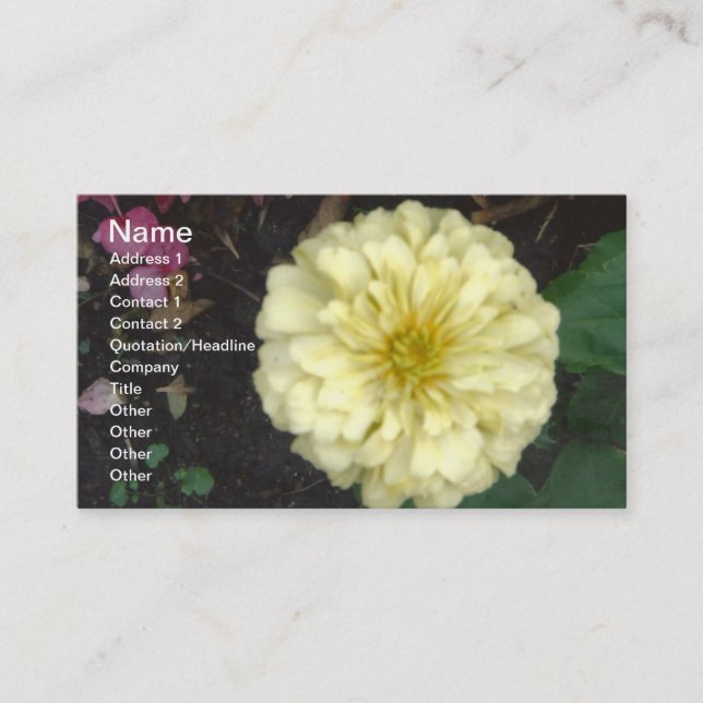 White Zinnia Business Card (Front)