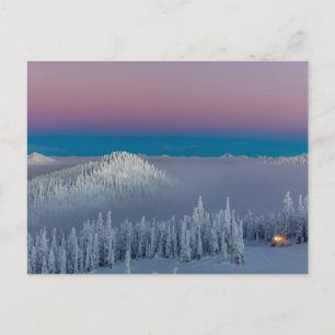 Whitefish Mountain Resort in Whitefish, Montana Postcard
