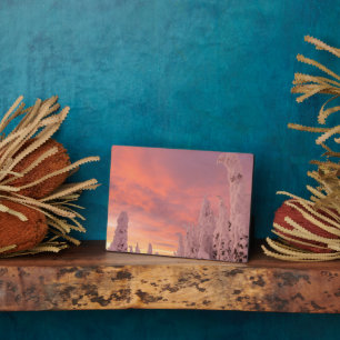 Whitefish Range Whitefish, Montana Plaque