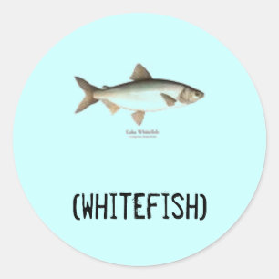 Whitefish stickers