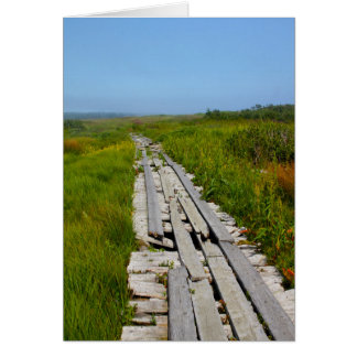 Whitehead Island, NB