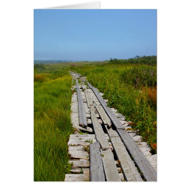 Whitehead Island, NB (Front)