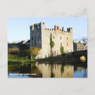 White's Castle Athy, Co. Kildare Ireland Postcard