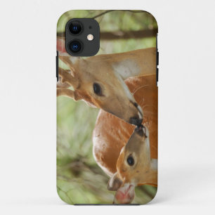 Whitetail Buck And Fawn Bonding iPhone 11 Case
