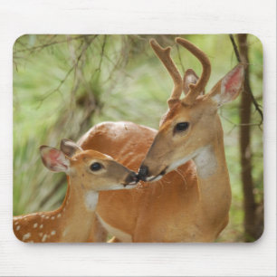 Whitetail Buck And Fawn Bonding Mouse Pad
