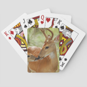 Whitetail Buck And Fawn Bonding Playing Cards