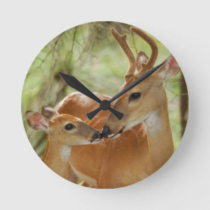 Whitetail Buck And Fawn Bonding Round Clock