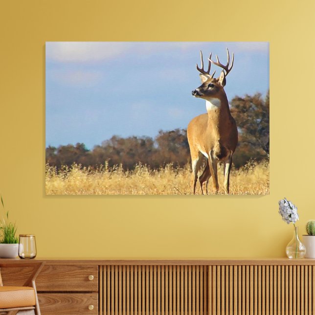 Whitetail Buck Canvas Print (Insitu(LivingRoom))