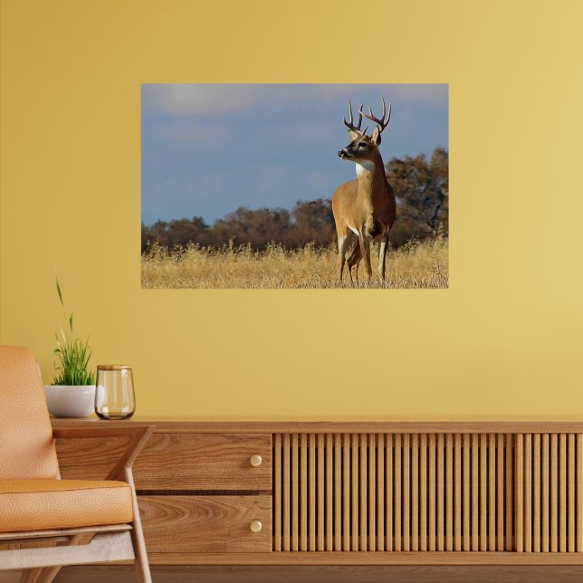 Whitetail Buck Framed Print (Living Room 2)