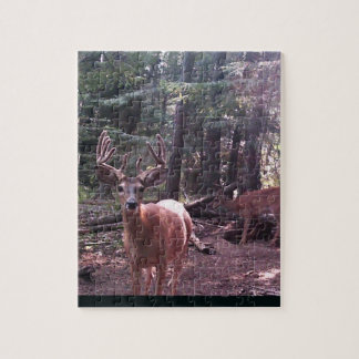 Whitetail buck in velvet jigsaw puzzle