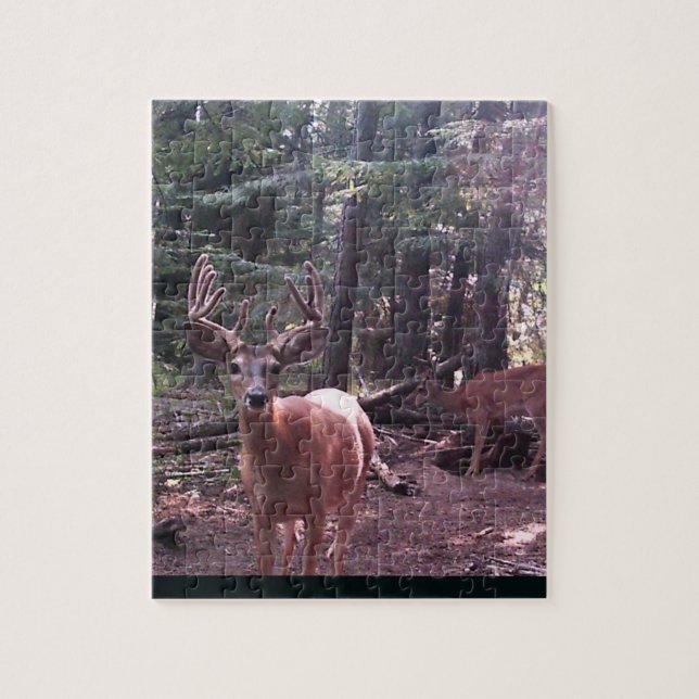 Whitetail  buck in velvet jigsaw puzzle (Vertical)