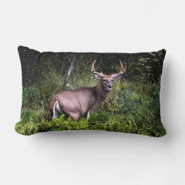 Whitetail Buck Lumbar Pillow