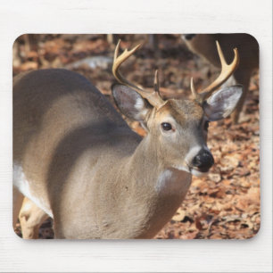 Whitetail Buck Mouse Pad