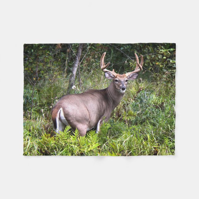 Whitetail Buck Photography Fleece Blanket (Front (Horizontal))