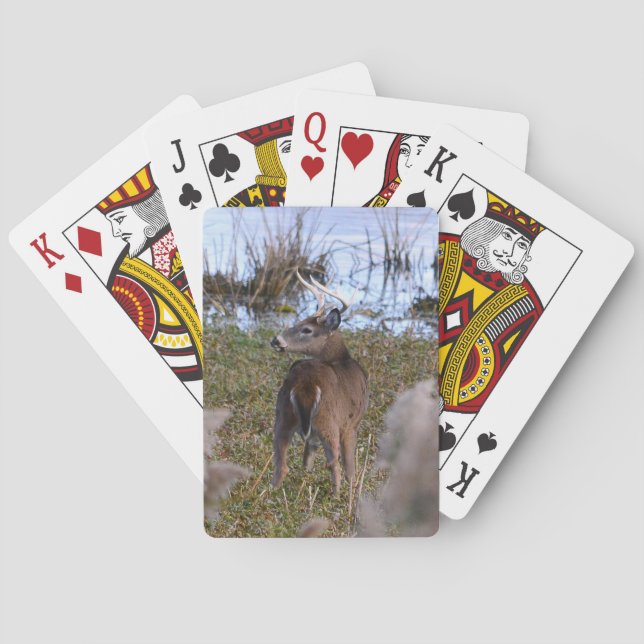 Whitetail Buck Playing Cards (Back)