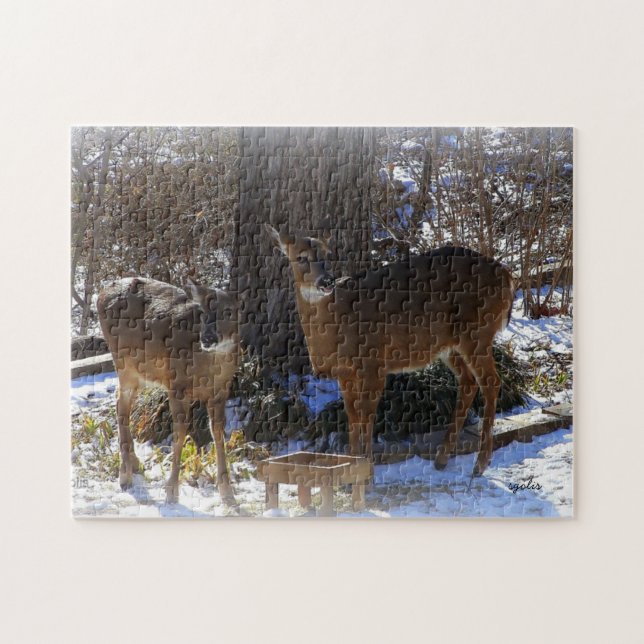 Whitetail Deer 11x14 Photo Puzzle with Gift Box (Horizontal)
