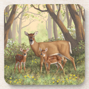 Whitetail Deer and Cute Twin Fawns In Spring Coaster