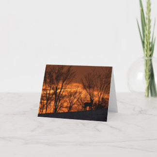 Whitetail deer at sunset blank notecard. thank you card