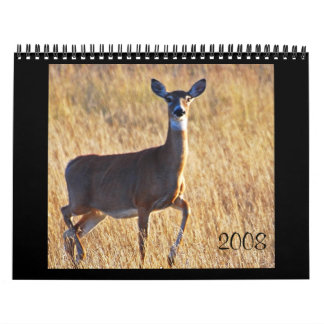 Whitetail Deer at the Dune's! Calendar